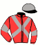 casaque portée par Chalmel C.e. jockey du cheval de course FILS PRODIGUE, information pmu ZETURF