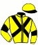 casaque portée par Labrousse P. jockey du cheval de course IRUN GOLD (FR), information pmu ZETURF