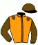 casaque portée par Gauvin F. jockey du cheval de course GOLDMANIA (FR), information pmu ZETURF