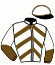 casaque portée par Comte F. jockey du cheval de course FALGA DE RITZ (FR), information pmu ZETURF