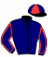 casaque portée par Dollion A. jockey du cheval de course ENZO DU KLAU, information pmu ZETURF