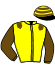 casaque portée par Swinnens Mlle M. jockey du cheval de course CHACHA BOY, information pmu ZETURF