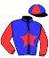casaque portée par Desmigneux F. jockey du cheval de course IRVANA JEPHI, information pmu ZETURF