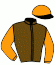 casaque portée par Grumetz Max. jockey du cheval de course KIVABIEN D'ARNHEM, information pmu ZETURF