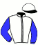 casaque portée par Dieudegard Mlle D. jockey du cheval de course KALIE DU BLEQUIN, information pmu ZETURF