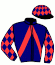 casaque portée par Bouclet Mme E. jockey du cheval de course KETTY KATE, information pmu ZETURF