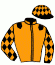 casaque portée par Bizoux Lor. jockey du cheval de course IBLISS MAYBE, information pmu ZETURF