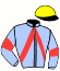 casaque portée par Hot Mlle E. jockey du cheval de course IZAAC DE L'ODEON, information pmu ZETURF
