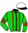 casaque portée par Guyon M. jockey du cheval de course CENTRICAL, information pmu ZETURF