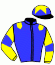 casaque portée par Boche Dam. jockey du cheval de course RUE JONAS, information pmu ZETURF