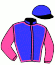 casaque portée par Seguy V. jockey du cheval de course SEAGALI, information pmu ZETURF