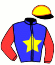 casaque portée par Coignard M. jockey du cheval de course KSAR DU RIEU, information pmu ZETURF
