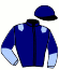 casaque portée par Randon A. jockey du cheval de course JULIUS ECUS, information pmu ZETURF