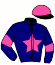 casaque portée par Enault P. M. jockey du cheval de course HORACE DE LOUTE, information pmu ZETURF