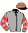 casaque portée par Capdet E. jockey du cheval de course DREAM QUALITY (FR), information pmu ZETURF