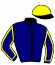 casaque portée par Lestrade B. jockey du cheval de course GOLLIATH (AQ), information pmu ZETURF