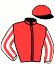 casaque portée par Suisse Mlle Léa jockey du cheval de course DROIT DE VETO (FR), information pmu ZETURF