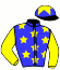 casaque portée par Lajon W. jockey du cheval de course HARESCA DU TABERT, information pmu ZETURF