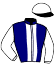 casaque portée par Ferreira N. jockey du cheval de course HANOUKA DU SEUIL (AQ), information pmu ZETURF