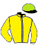 casaque portée par Gautron A. jockey du cheval de course TITI DE PARIS, information pmu ZETURF