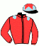 casaque portée par Bonnet E. jockey du cheval de course GERMINAL, information pmu ZETURF
