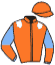 casaque portée par Riou C. jockey du cheval de course ARCACHON, information pmu ZETURF
