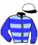 casaque portée par Reveley J. jockey du cheval de course TERRA BELLA, information pmu ZETURF
