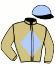 casaque portée par Beaubois L. jockey du cheval de course MERCINETTE, information pmu ZETURF
