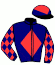 casaque portée par Meunier Gab. jockey du cheval de course PRINCE DE GALLES, information pmu ZETURF
