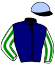 casaque portée par Gergouil Mat. jockey du cheval de course JAVANAISE DE FARS, information pmu ZETURF