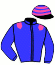 casaque portée par Brossard N. R. jockey du cheval de course JOIE DE LA COTE, information pmu ZETURF