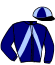 casaque portée par Criado M. jockey du cheval de course HERMES DE GIRONDE, information pmu ZETURF