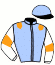 casaque portée par Vanacker B. jockey du cheval de course LIEVRE D'ALBRET, information pmu ZETURF