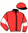 casaque portée par Badin M. jockey du cheval de course HIPPARION DES VES, information pmu ZETURF