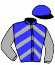 casaque portée par Dal Grande Enz. jockey du cheval de course GORLANDO STEED, information pmu ZETURF