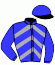 casaque portée par Forest M. jockey du cheval de course STANTO (FR), information pmu ZETURF