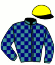 casaque portée par Rodriguez Nunez H. jockey du cheval de course ITIUS VERGOIGNAN, information pmu ZETURF