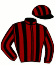 casaque portée par Seigneul A. jockey du cheval de course KORUM (FR), information pmu ZETURF