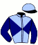 casaque portée par Bendjama A. jockey du cheval de course CAMARLEEN, information pmu ZETURF