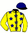 casaque portée par Ploquin P. Ph. jockey du cheval de course EDOLINE DAIRPET (FR), information pmu ZETURF