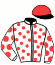 casaque portée par Rochard B. jockey du cheval de course HULK DU DON (FR), information pmu ZETURF