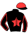 casaque portée par Beauchene Th. jockey du cheval de course FABELLA GALAA (FR), information pmu ZETURF
