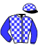 casaque portée par Daugeard Ph. jockey du cheval de course HORSE DE GRAMMONT (FR), information pmu ZETURF