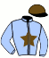 casaque portée par Varin M. jockey du cheval de course HOTESSE DU CHASSIN (FR), information pmu ZETURF