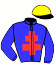 casaque portée par Dubois J. jockey du cheval de course JIROBELLO, information pmu ZETURF