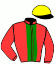 casaque portée par Thomain D. jockey du cheval de course JOG DE JAVIE, information pmu ZETURF