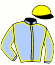 casaque portée par Petitjean K. jockey du cheval de course JAYLIS, information pmu ZETURF
