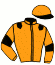 casaque portée par Martin G. jockey du cheval de course LIBERTY SPEED, information pmu ZETURF