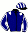 casaque portée par Mottier M. jockey du cheval de course L'ODYSSEE MESLOISE, information pmu ZETURF