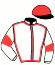 casaque portée par Mottier M. jockey du cheval de course LADOTA PRIOR, information pmu ZETURF